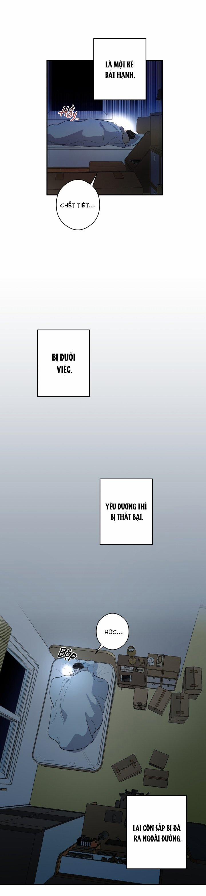 Chuẩn Mực Tỏ Tình 0 trang 2