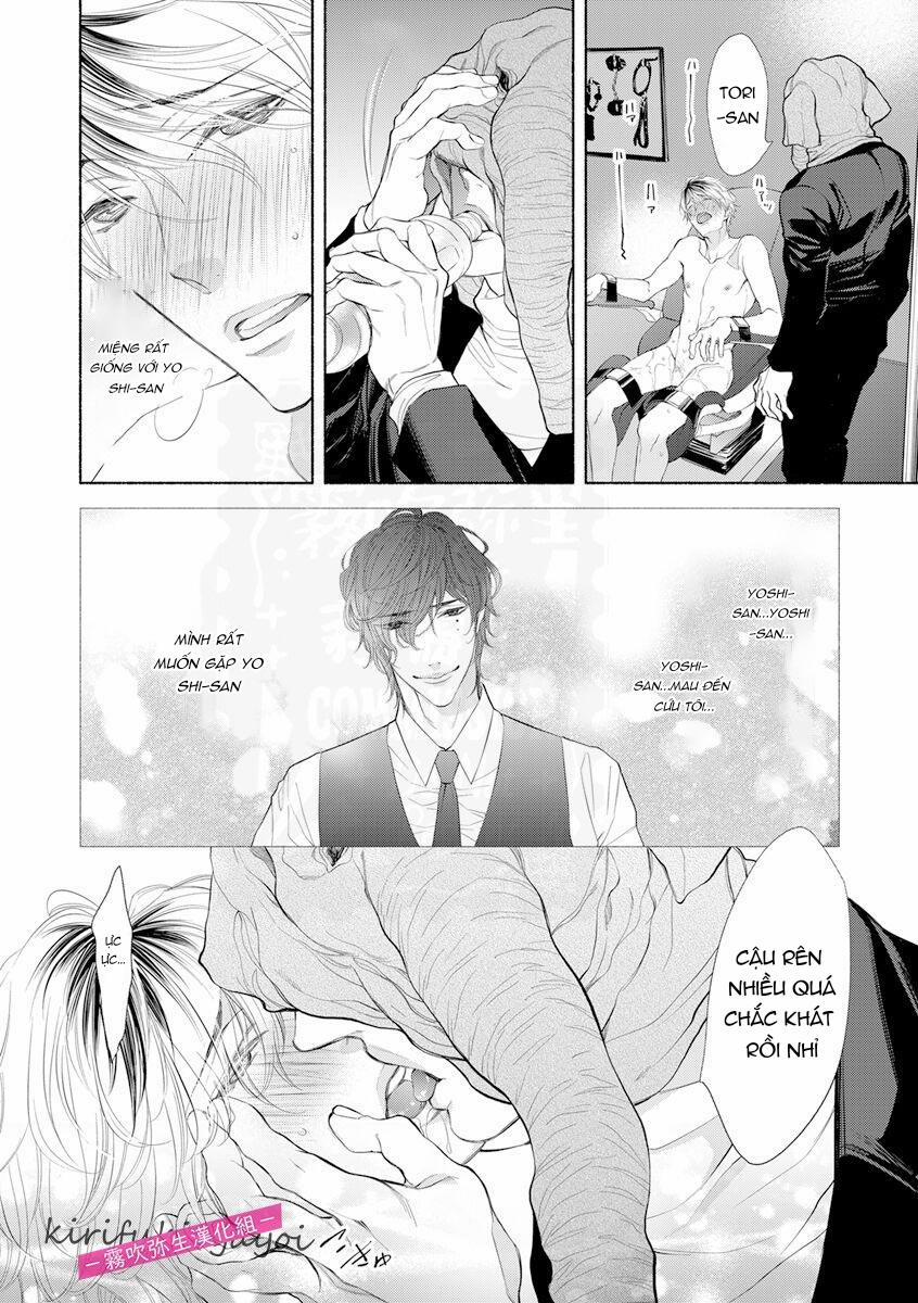 Chục Cây Một Lỗ 9 trang 17