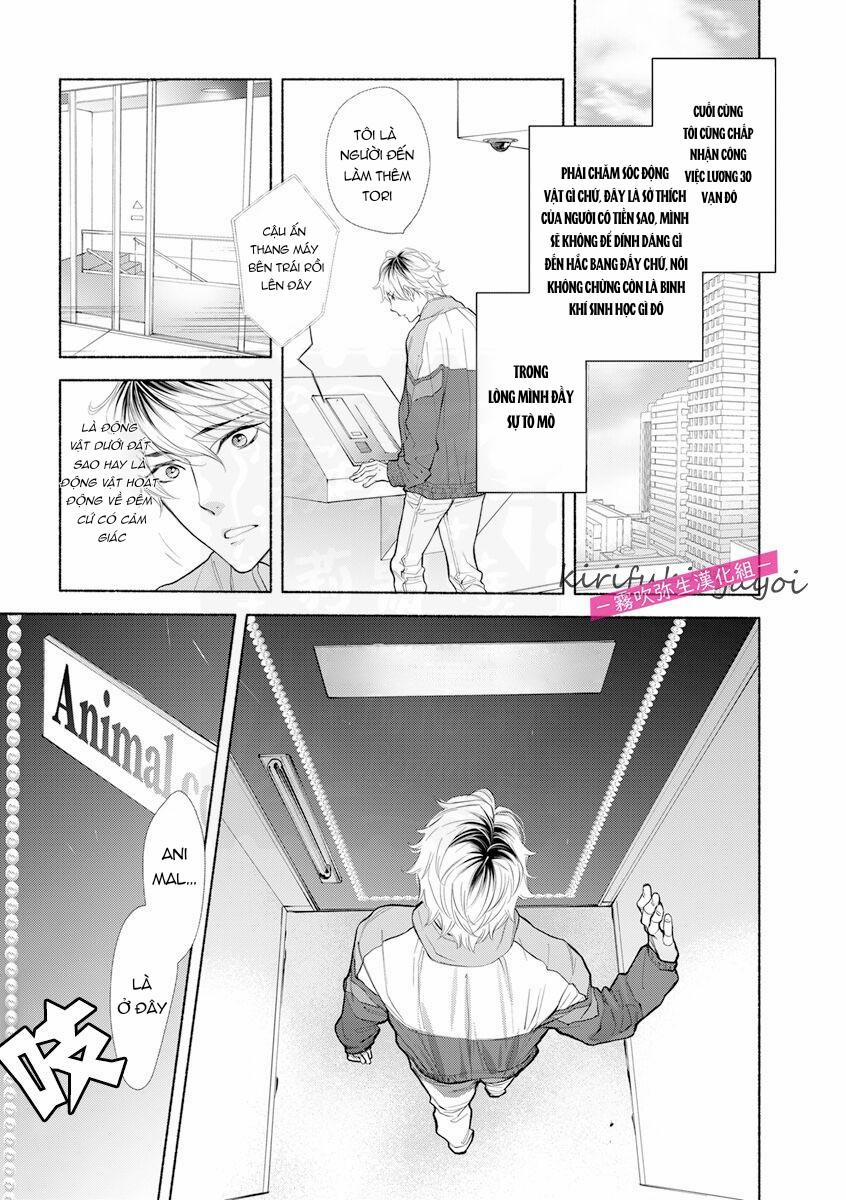 Chục Cây Một Lỗ 9 trang 6