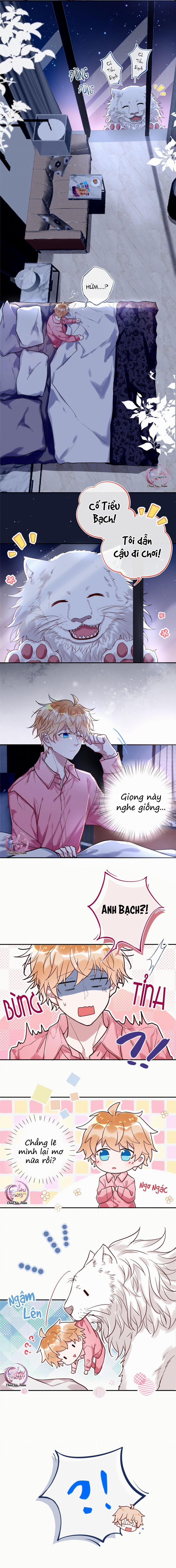 Chung Cư Yêu Quái 26 trang 4