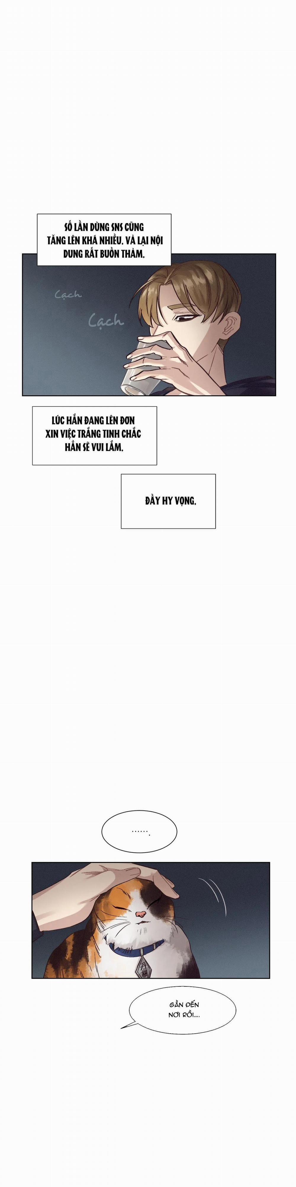 Chứng Quá Căng Thẳng Của Tiền Bối 3 trang 11