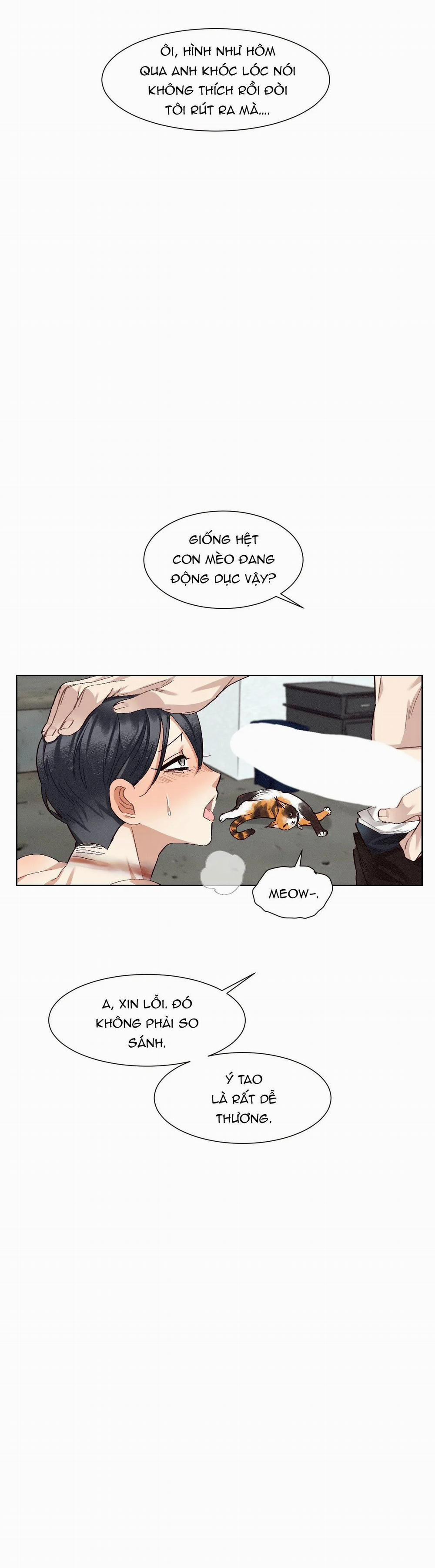 Chứng Quá Căng Thẳng Của Tiền Bối 5 trang 1