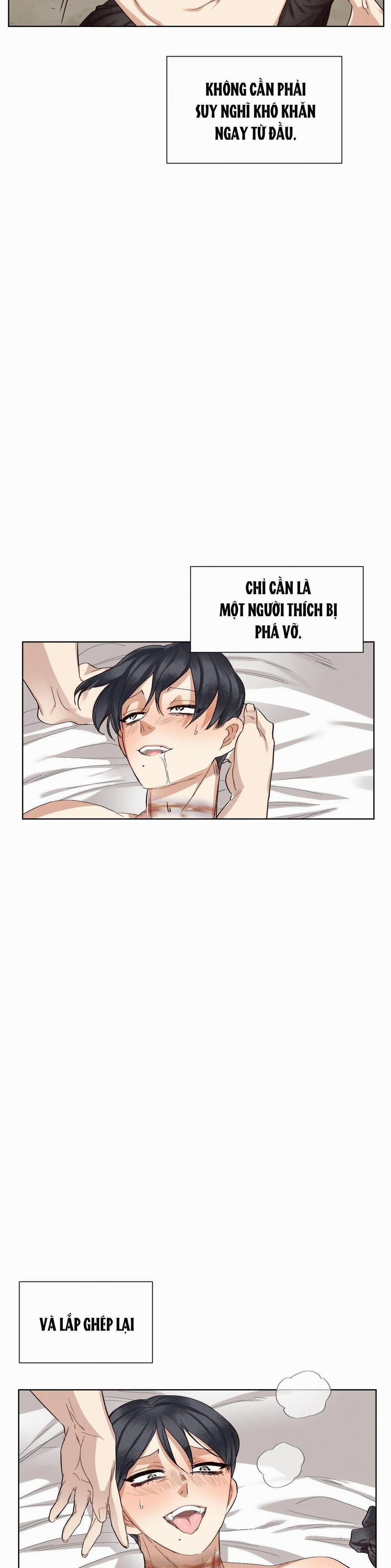 Chứng Quá Căng Thẳng Của Tiền Bối 5 trang 12