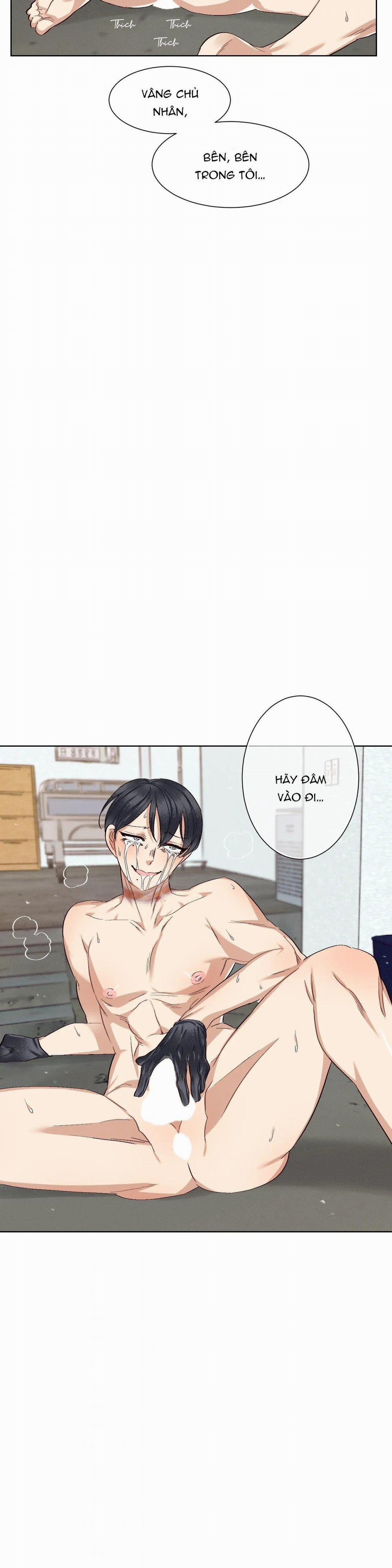 Chứng Quá Căng Thẳng Của Tiền Bối 5 trang 9