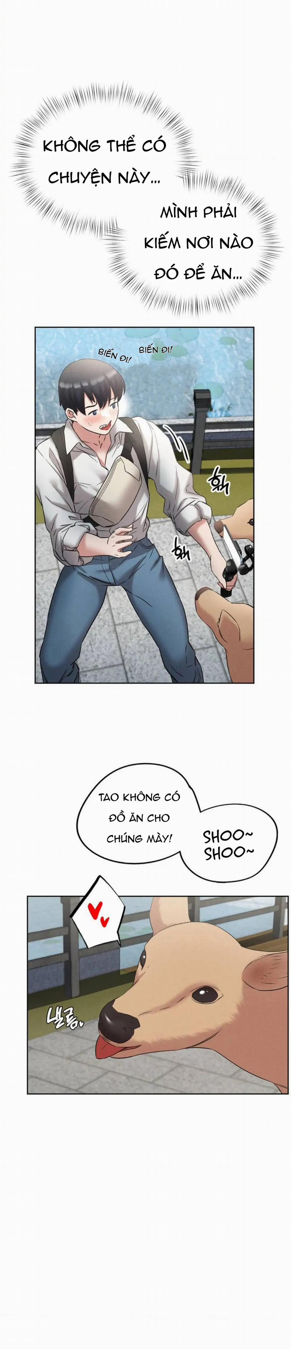 Chúng Ta Cùng Đi Ryokan Nhé? 1 trang 9