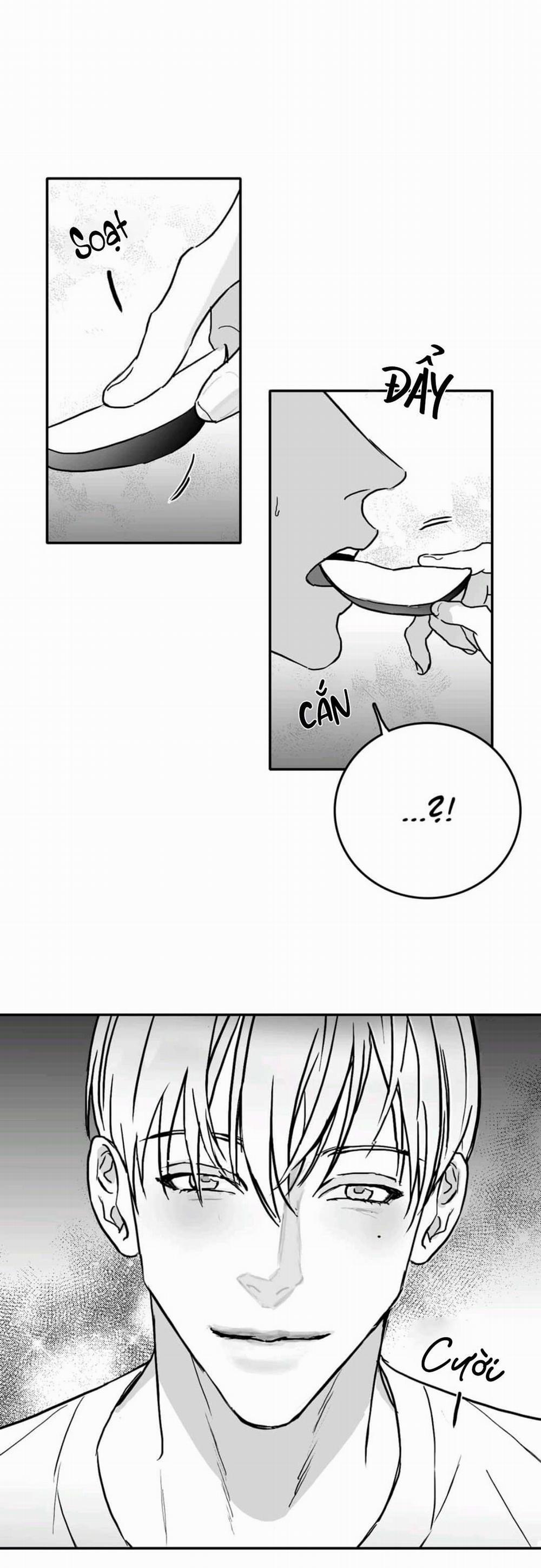 Chúng Ta Đều Là Kẻ Ngốc 12 trang 16