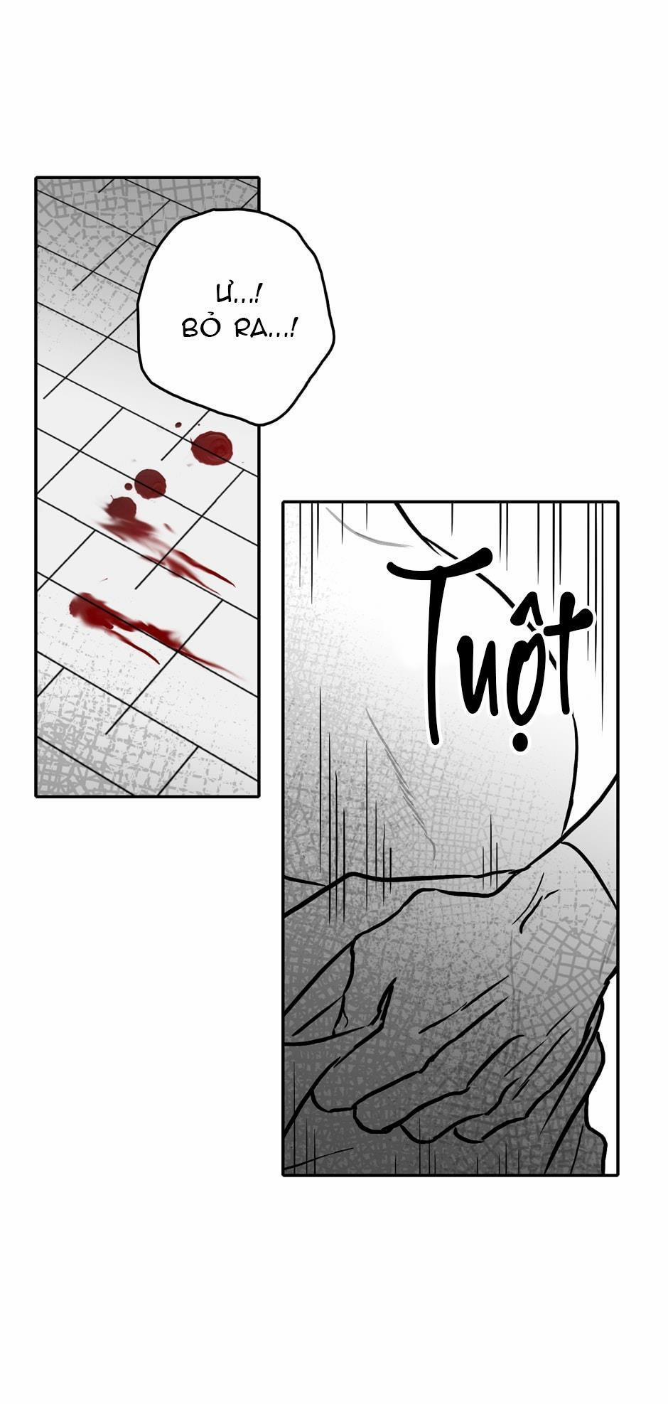 Chúng Ta Đều Là Kẻ Ngốc 20 trang 15