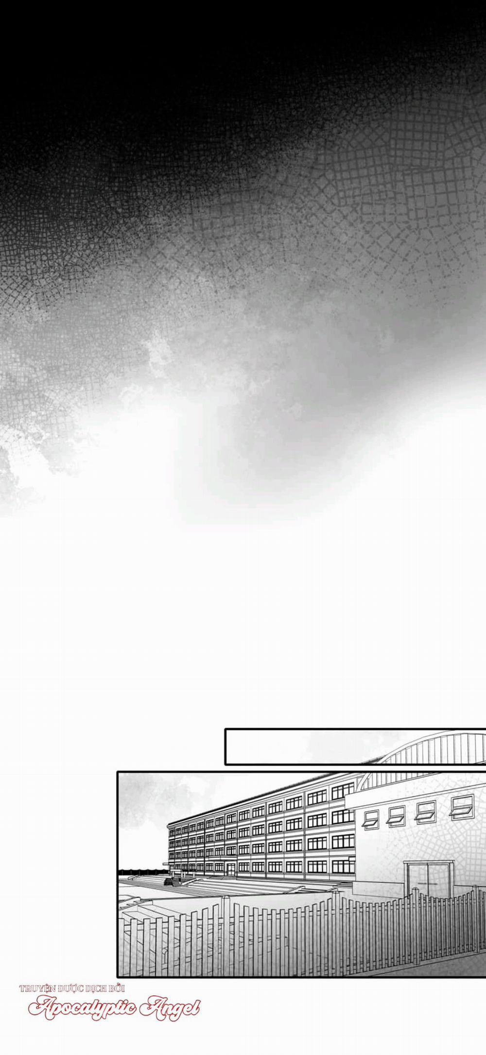 Chúng Ta Đều Là Kẻ Ngốc 5 trang 5