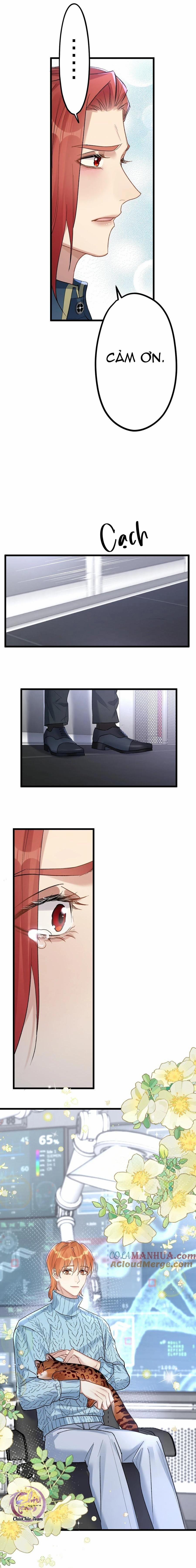 Chung Tình (END) 60 NGANG RAW trang 12