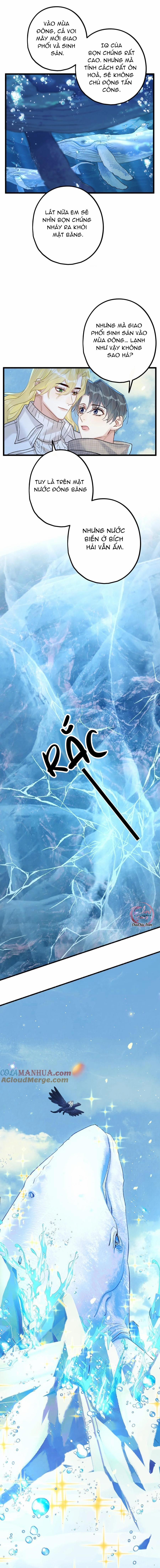 Chung Tình (END) 61 NGANG RAW trang 7