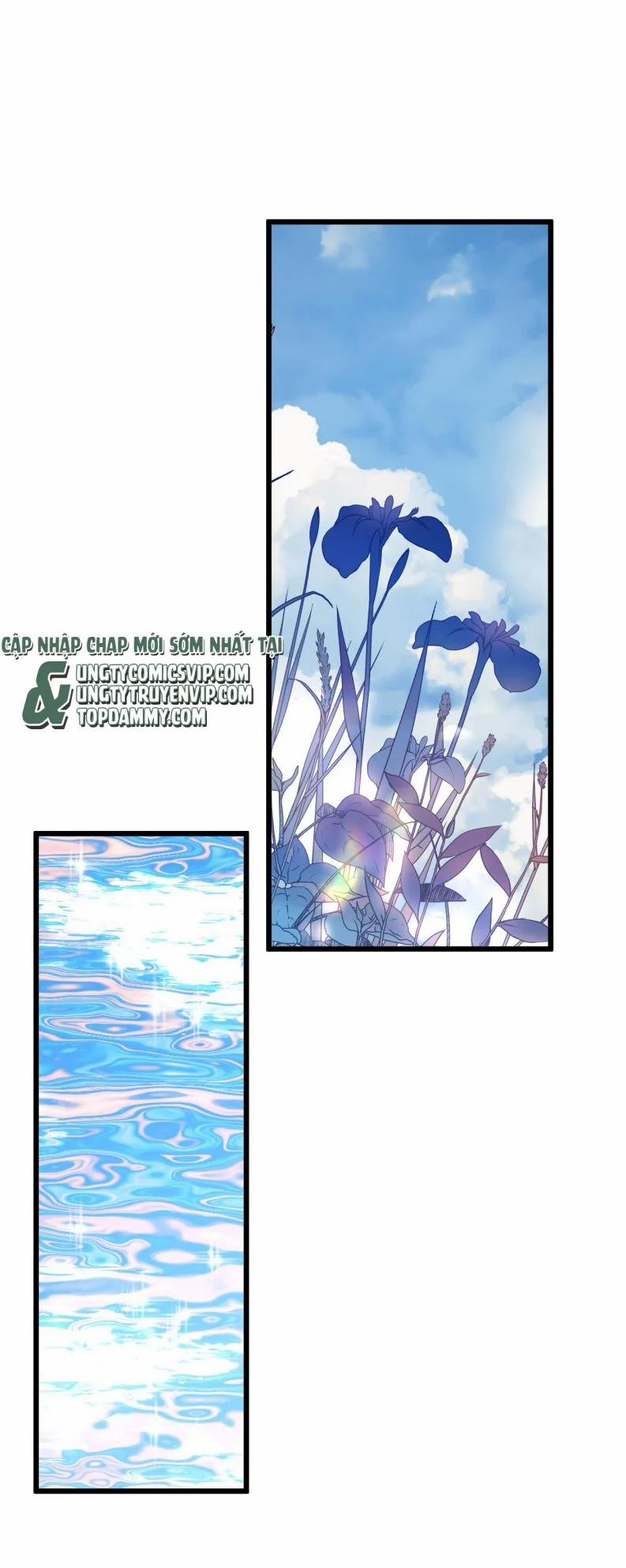 Chung Tình 77 trang 13