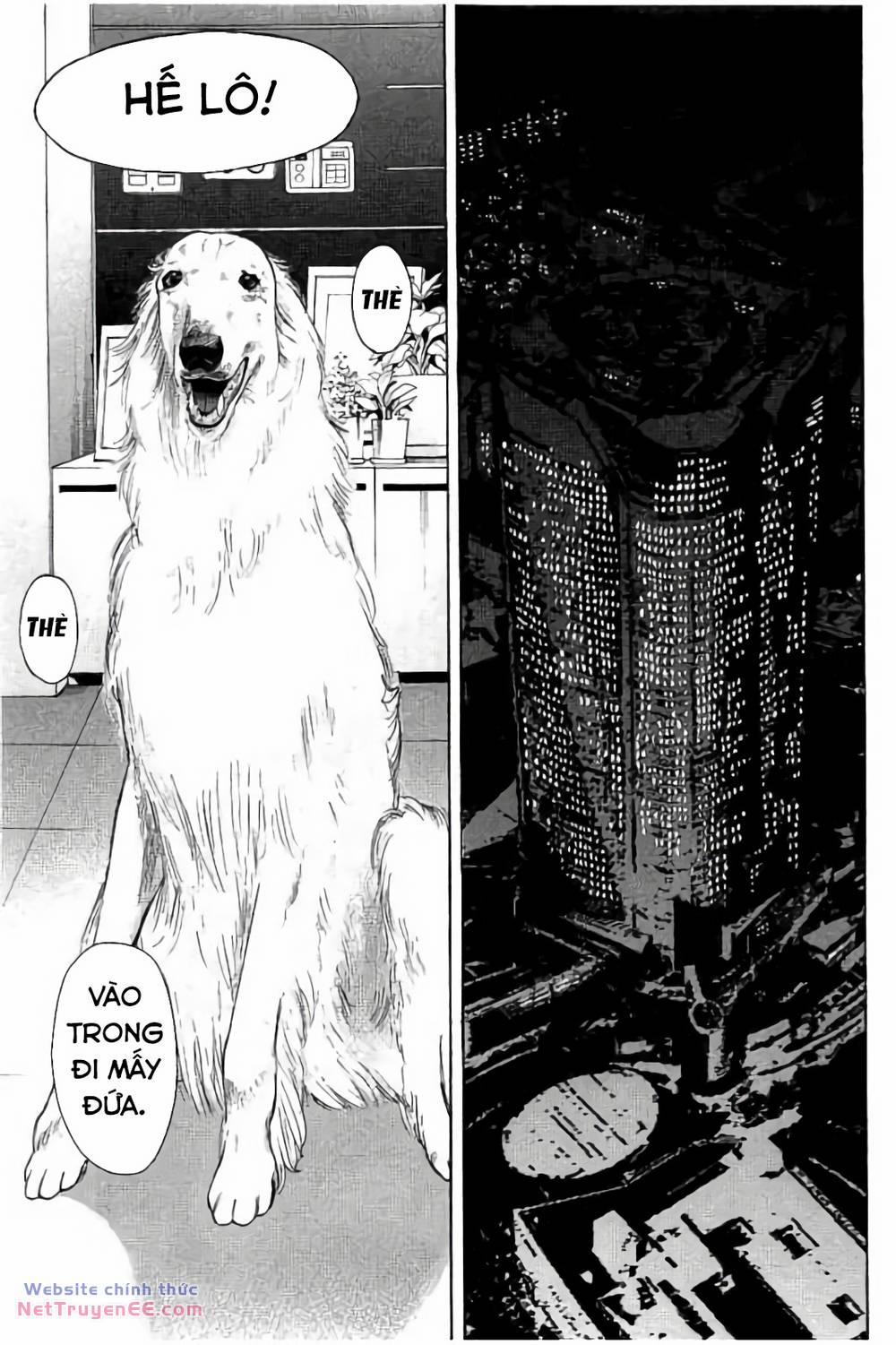 Chúng Tôi Đã Làm Được Rồi! 11 trang 11