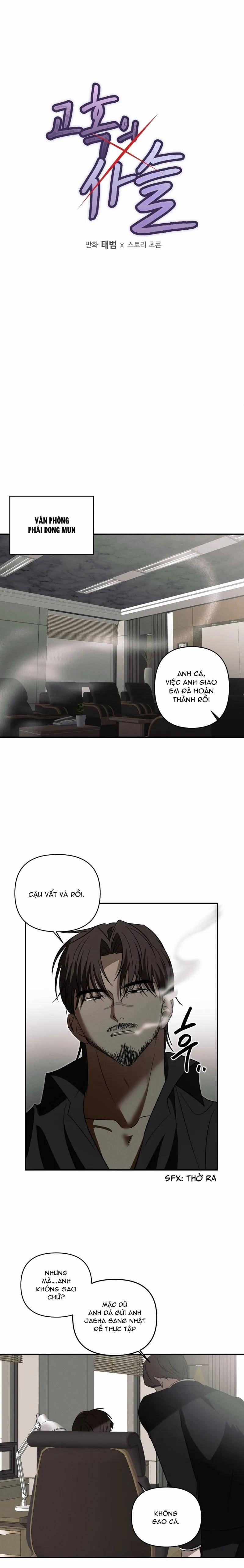 Chuỗi Mê Hoặc 5 trang 0