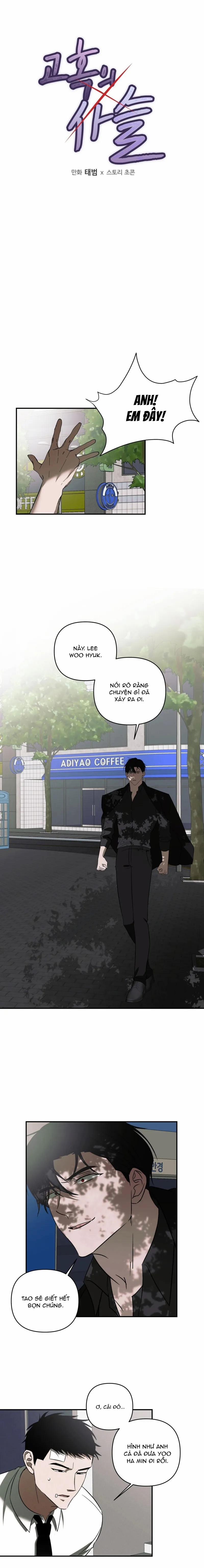 Chuỗi Mê Hoặc 6 trang 5