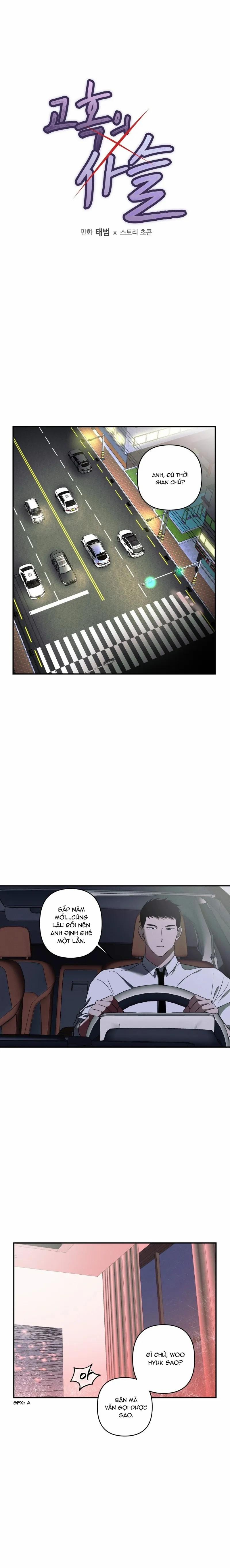 Chuỗi Mê Hoặc 8 trang 0