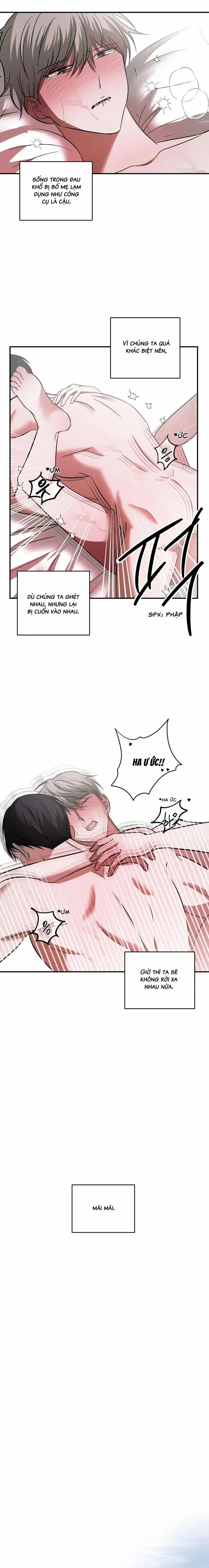 Chuỗi Mê Hoặc 8 trang 4