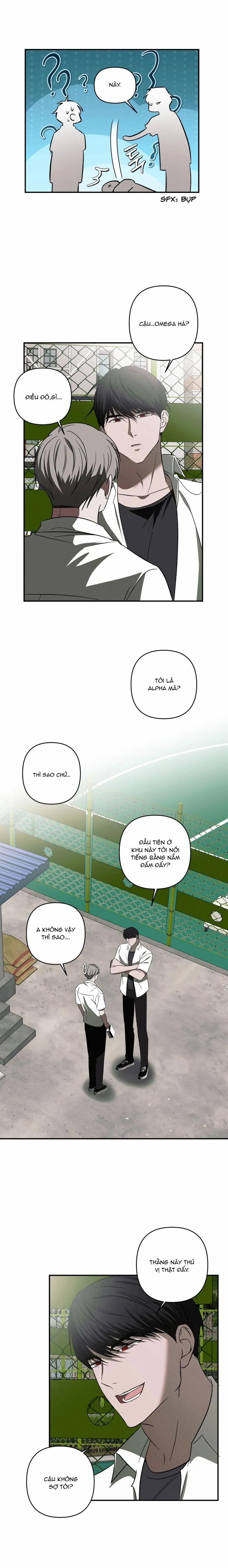 Chuỗi Mê Hoặc 8 trang 6