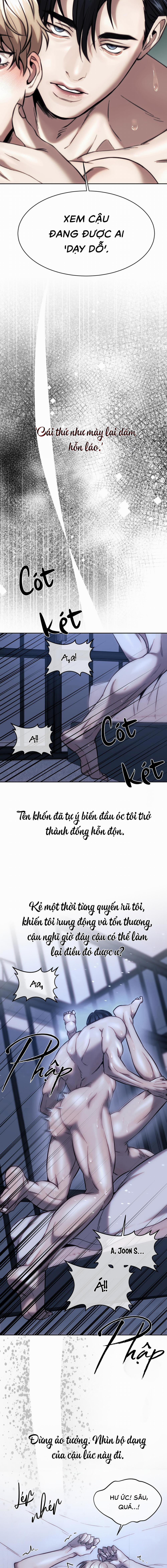 Chuồng chó Tosa 4 trang 8