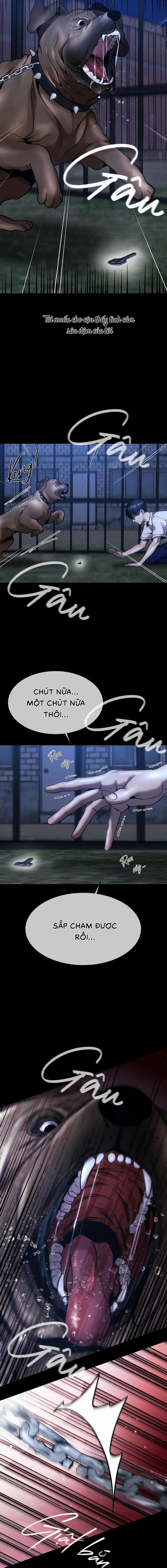 Chuồng chó Tosa 5 trang 12