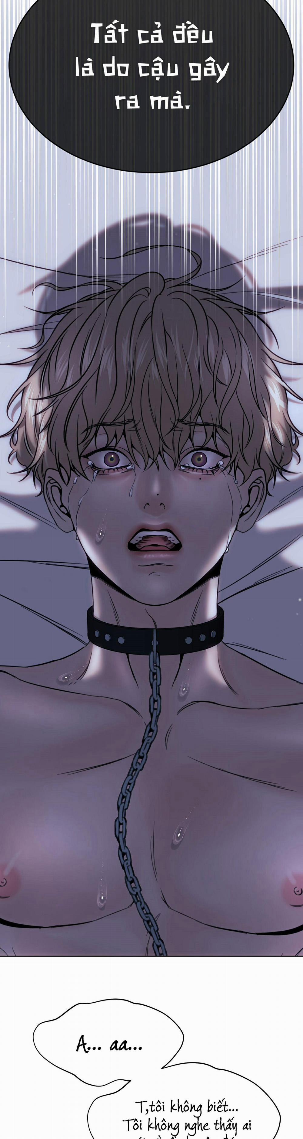 Chuồng chó Tosa 7 trang 1