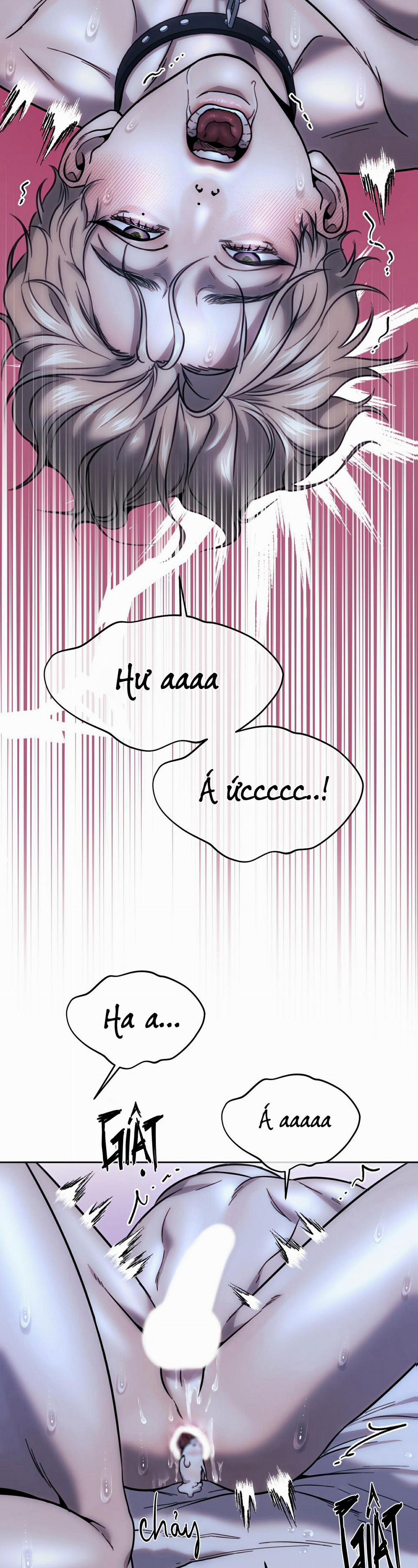 Chuồng chó Tosa 7 trang 16