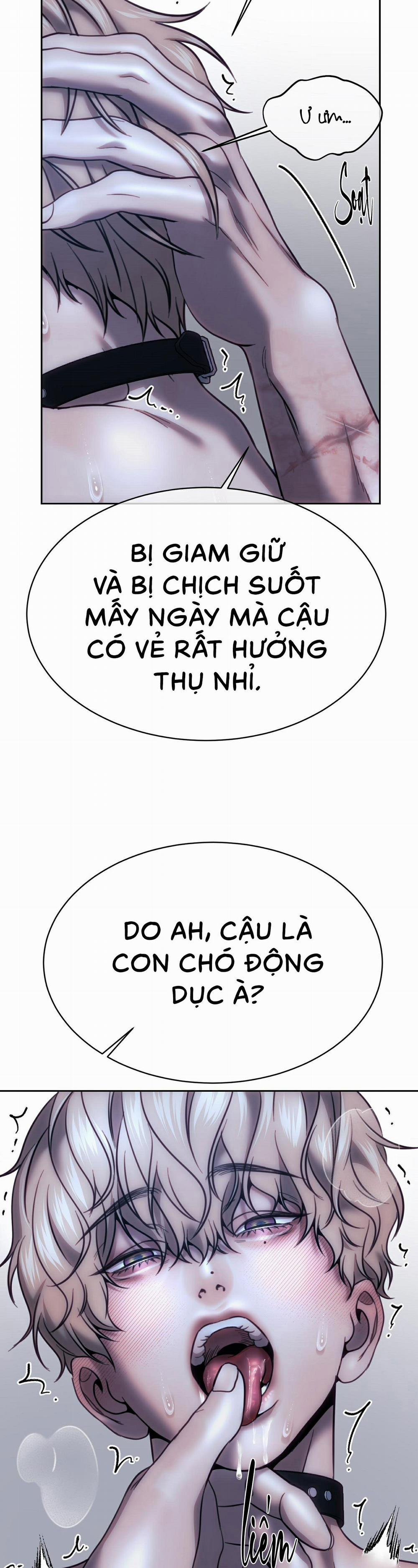 Chuồng chó Tosa 7 trang 21