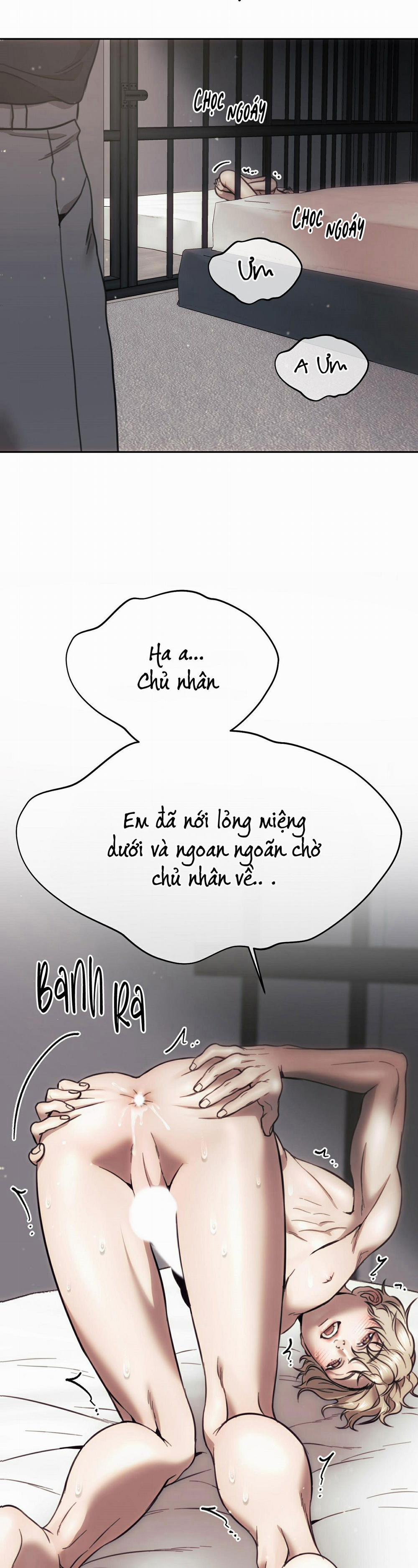 Chuồng chó Tosa 7 trang 38