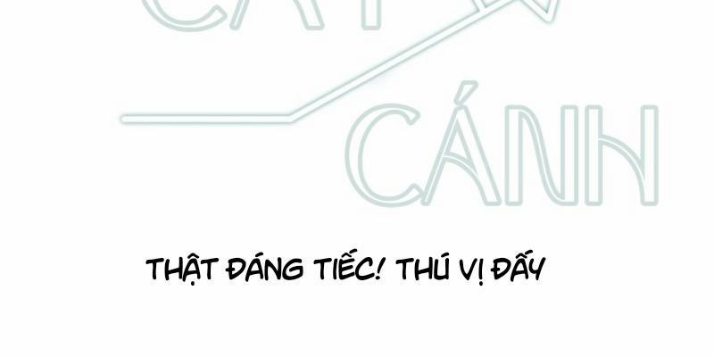 Chuyến Bay Định Mệnh 19 trang 1