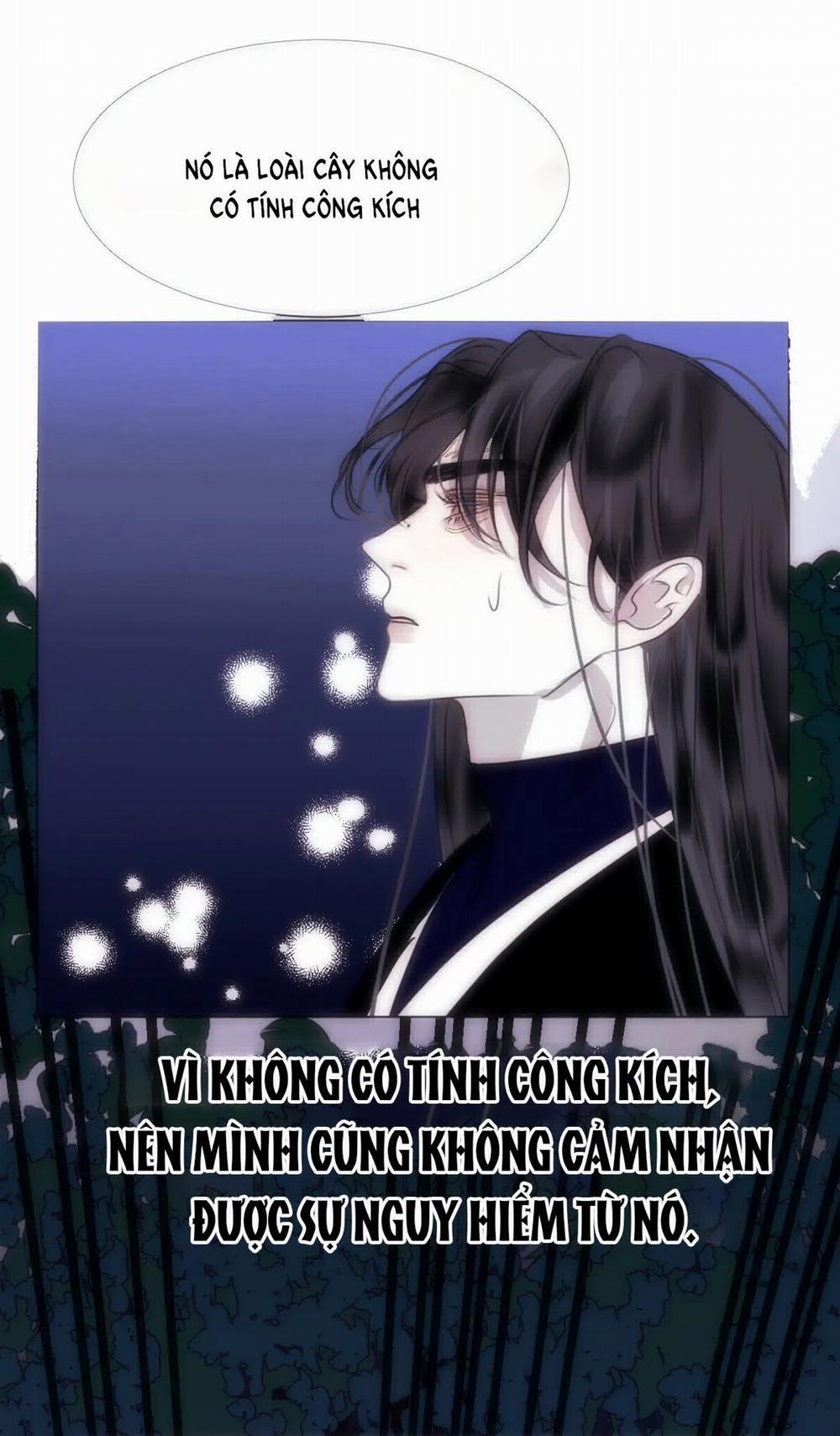 Chuyện Bên Lề Sau Khi Xuyên Sách Của Ta Và Sư Tôn 8 trang 8