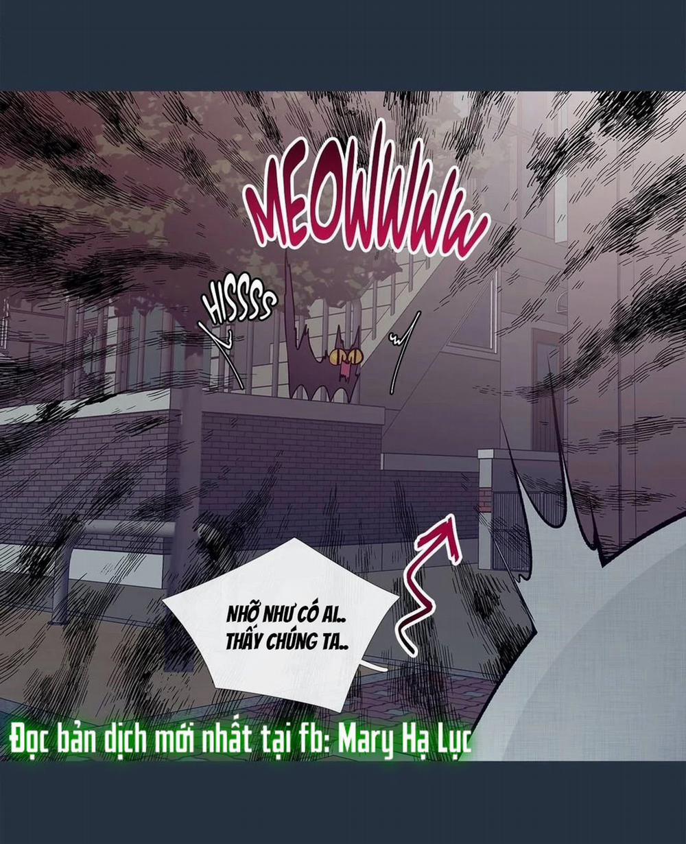 Chuyện Gì Đây? 28.1 trang 19