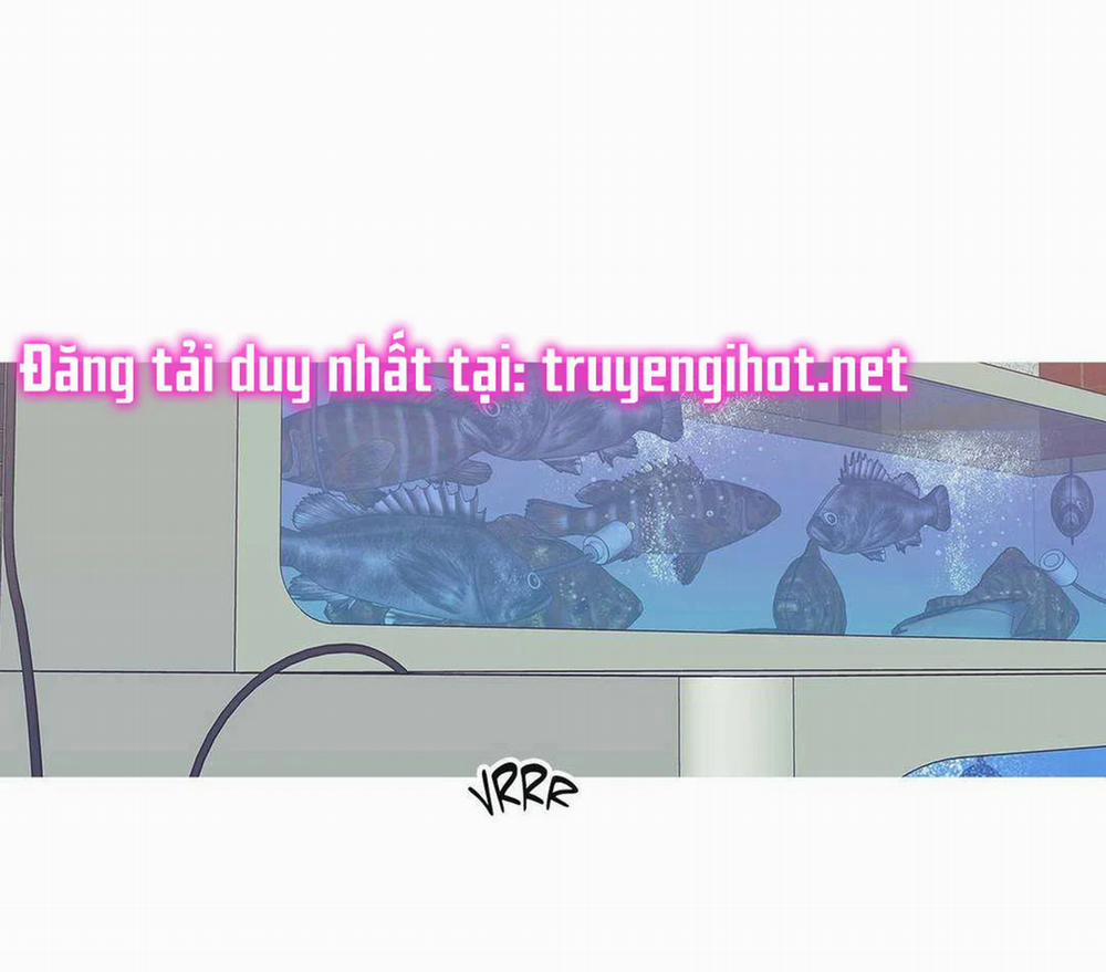 Chuyện Gì Đây? 34.2 trang 15