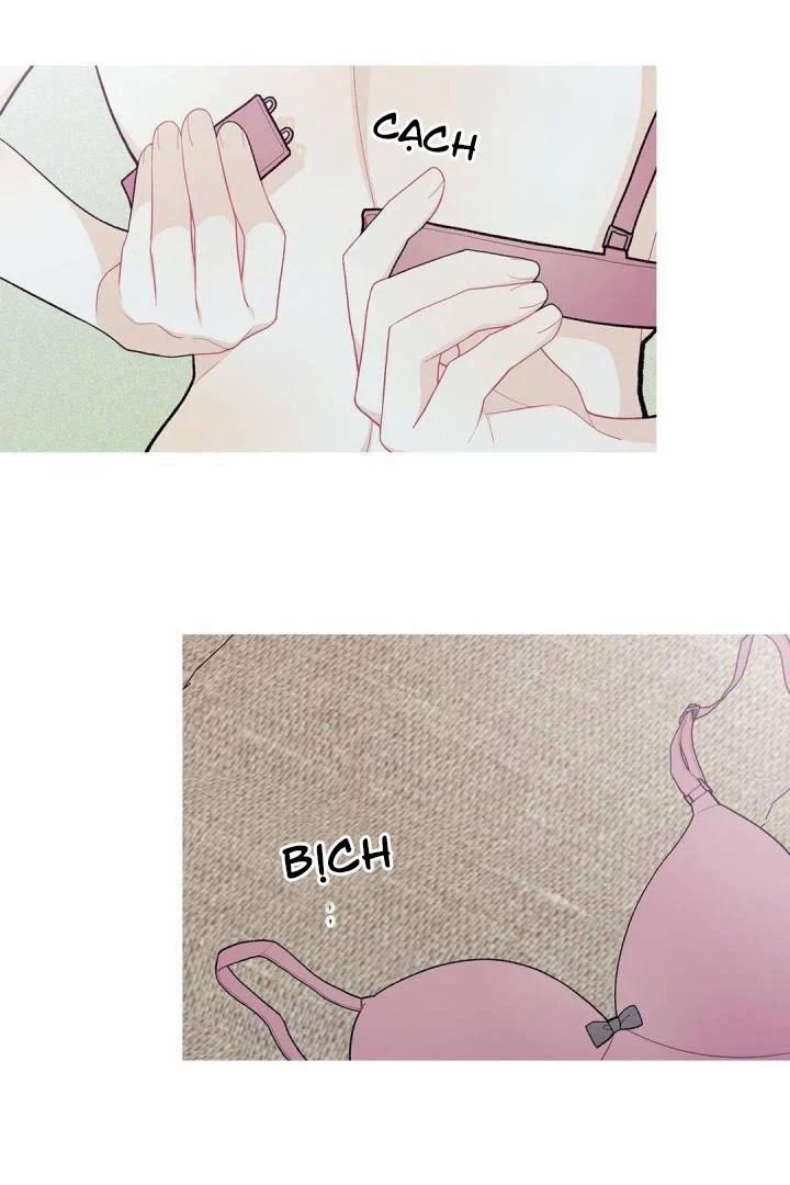 Chuyện Gì Đây? 38.2 trang 15