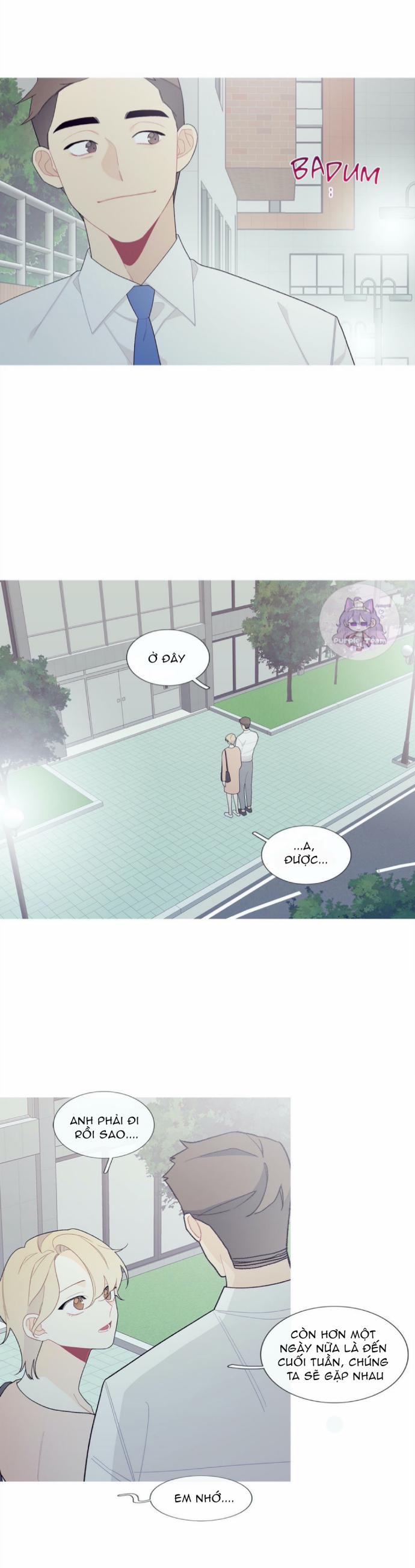 Chuyện Quái Gì Đang Xảy Ra? 102 trang 16