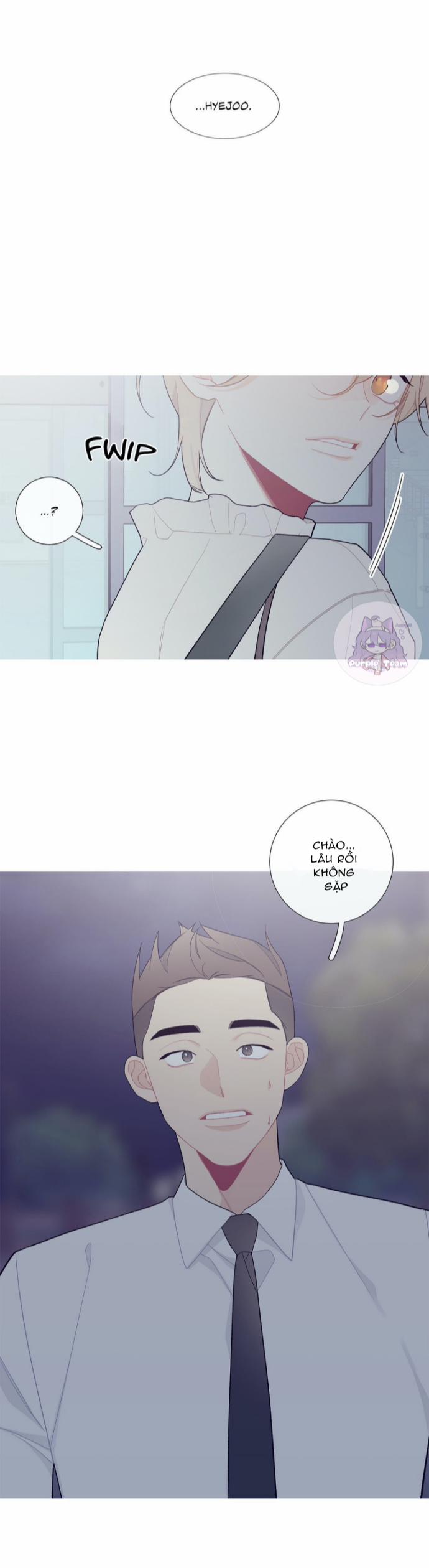 Chuyện Quái Gì Đang Xảy Ra? 96 trang 4