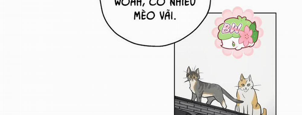 Chuyện Quái Gì Với Giấc Mơ Đó Vậy? 1 trang 95