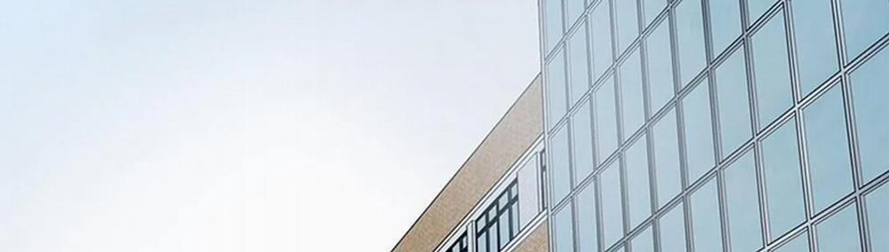 Chuyện Quái Gì Với Giấc Mơ Đó Vậy? 14 trang 236