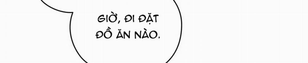 Chuyện Quái Gì Với Giấc Mơ Đó Vậy? 19 trang 158