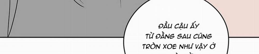 Chuyện Quái Gì Với Giấc Mơ Đó Vậy? 19 trang 569