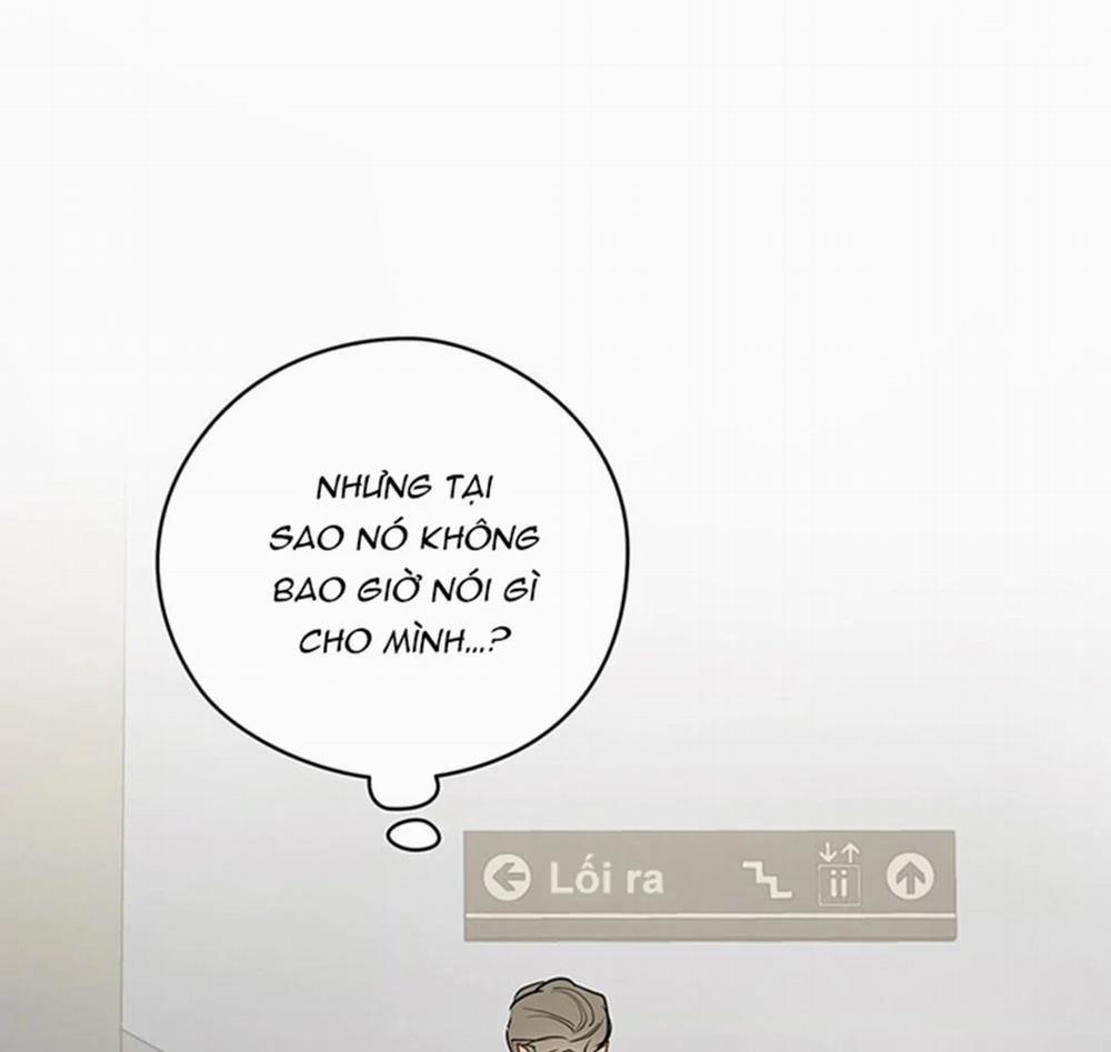 Chuyện Quái Gì Với Giấc Mơ Đó Vậy? 27 trang 147