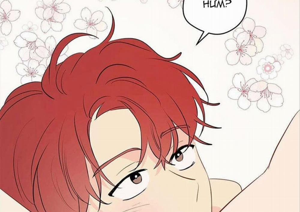 Chuyện Quái Gì Với Giấc Mơ Đó Vậy? 29 trang 67