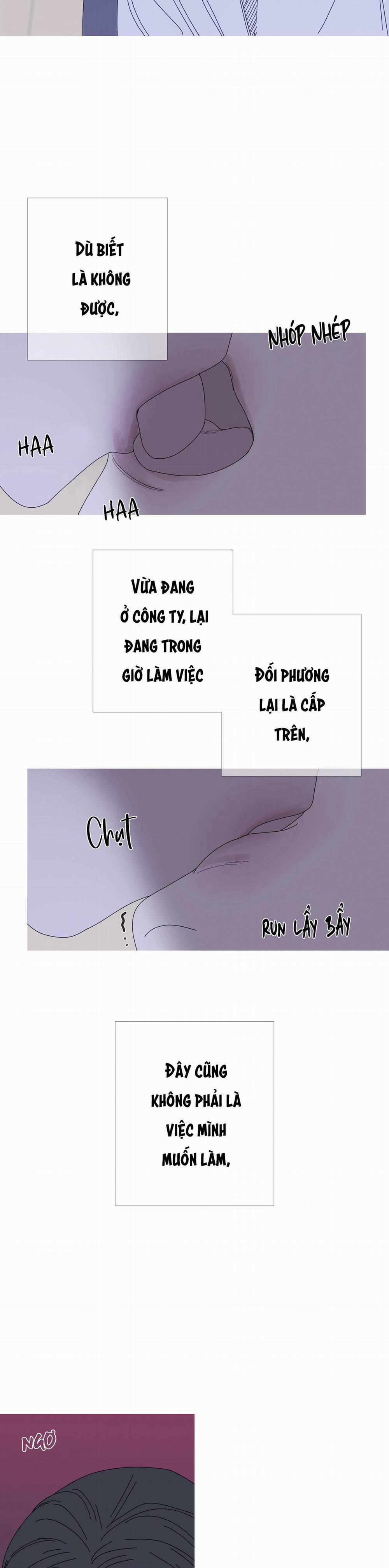 CHUYỆN QUỶ MÔN QUAN 36 trang 11