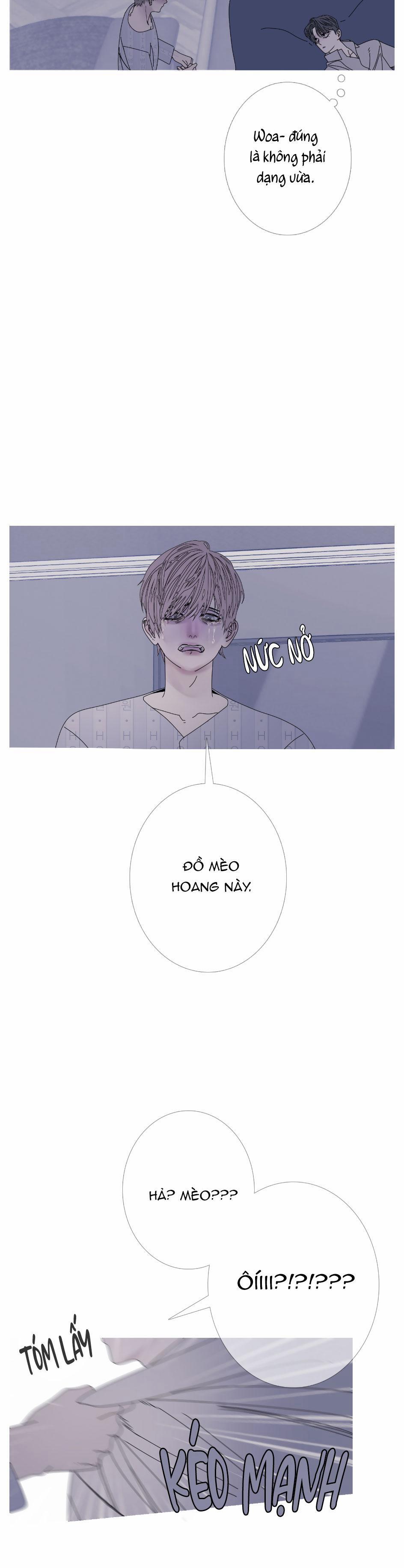 CHUYỆN QUỶ MÔN QUAN 50 trang 6