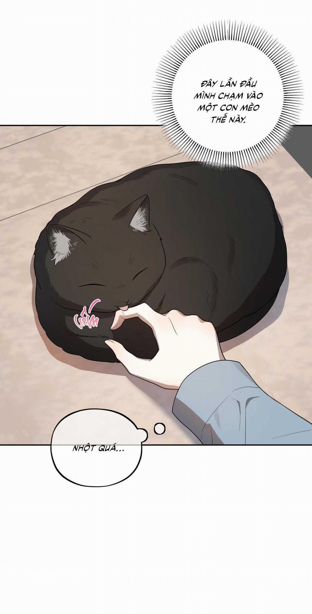 Chuyện Rằng Tôi Yêu Cậu 9 trang 54