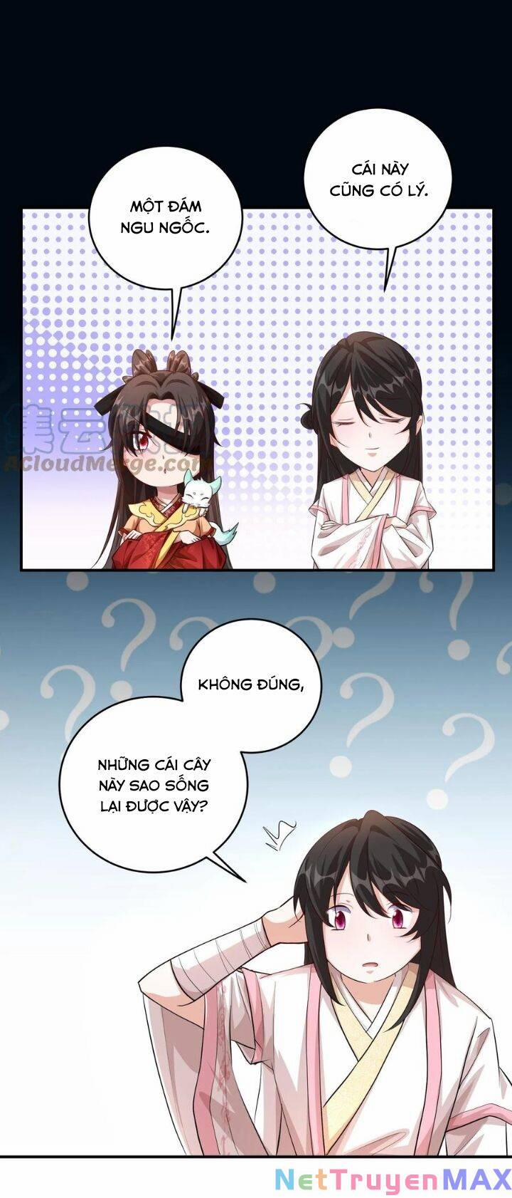 Chuyển Sinh: Thần Y Quận Chúa Khuynh Thiên Hạ 10 trang 14