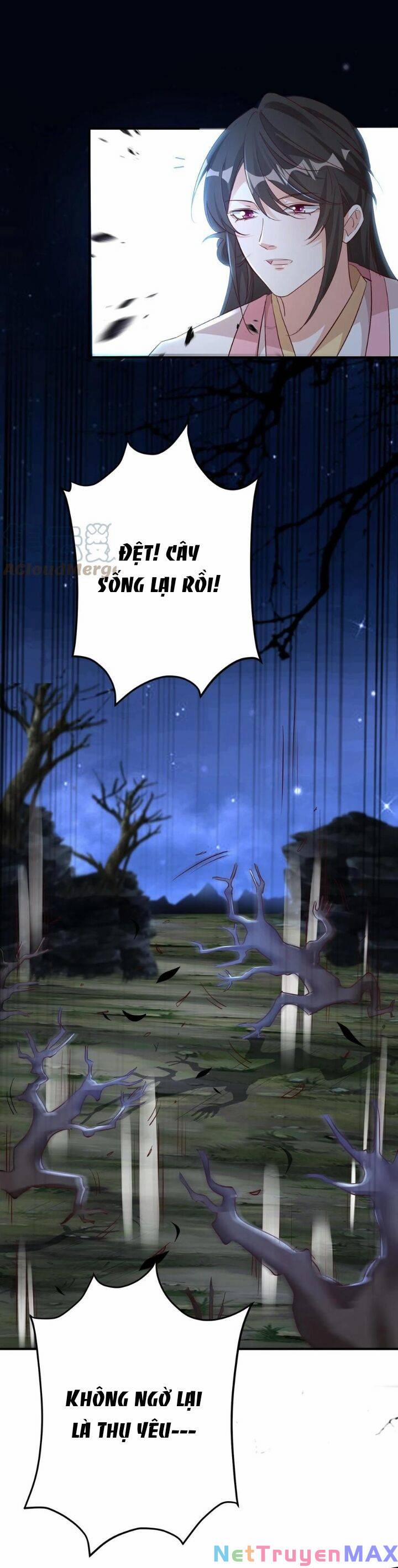 Chuyển Sinh: Thần Y Quận Chúa Khuynh Thiên Hạ 10 trang 7