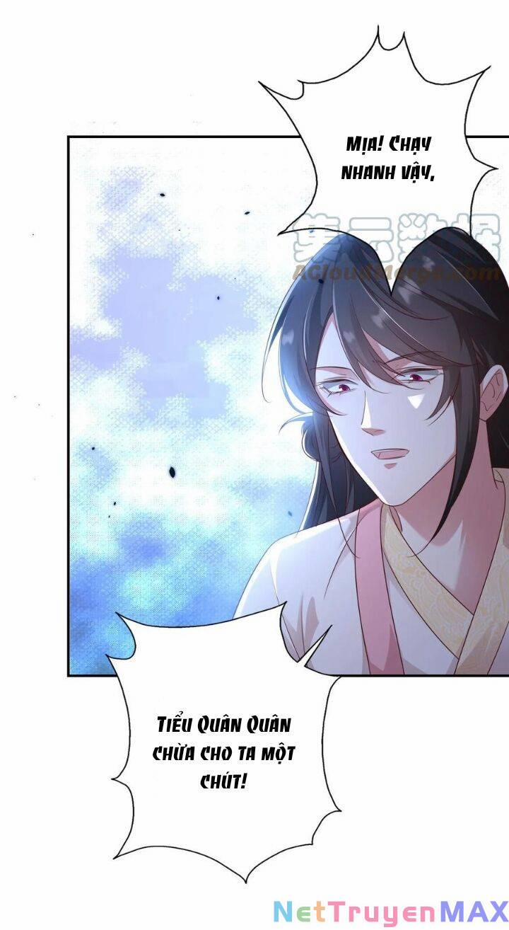 Chuyển Sinh: Thần Y Quận Chúa Khuynh Thiên Hạ 11 trang 12