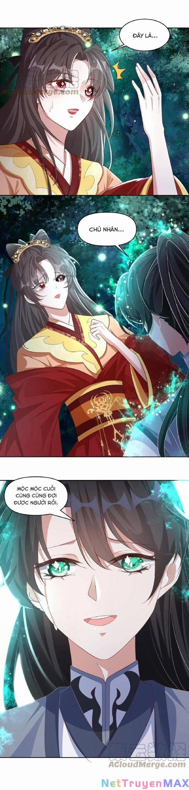 Chuyển Sinh: Thần Y Quận Chúa Khuynh Thiên Hạ 15 trang 8