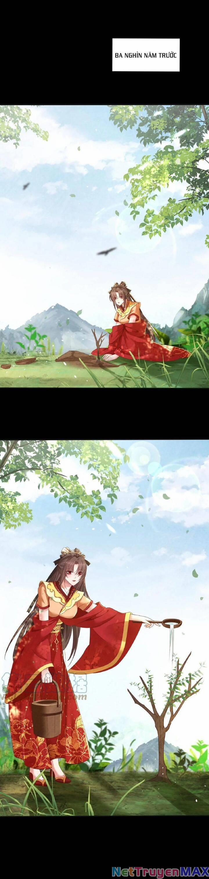 Chuyển Sinh: Thần Y Quận Chúa Khuynh Thiên Hạ 16 trang 2