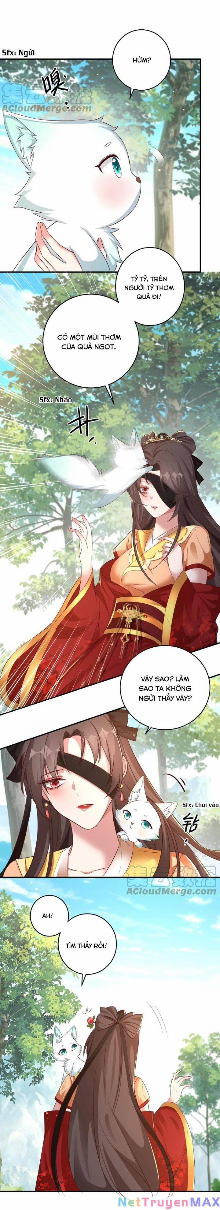 Chuyển Sinh: Thần Y Quận Chúa Khuynh Thiên Hạ 19 trang 3