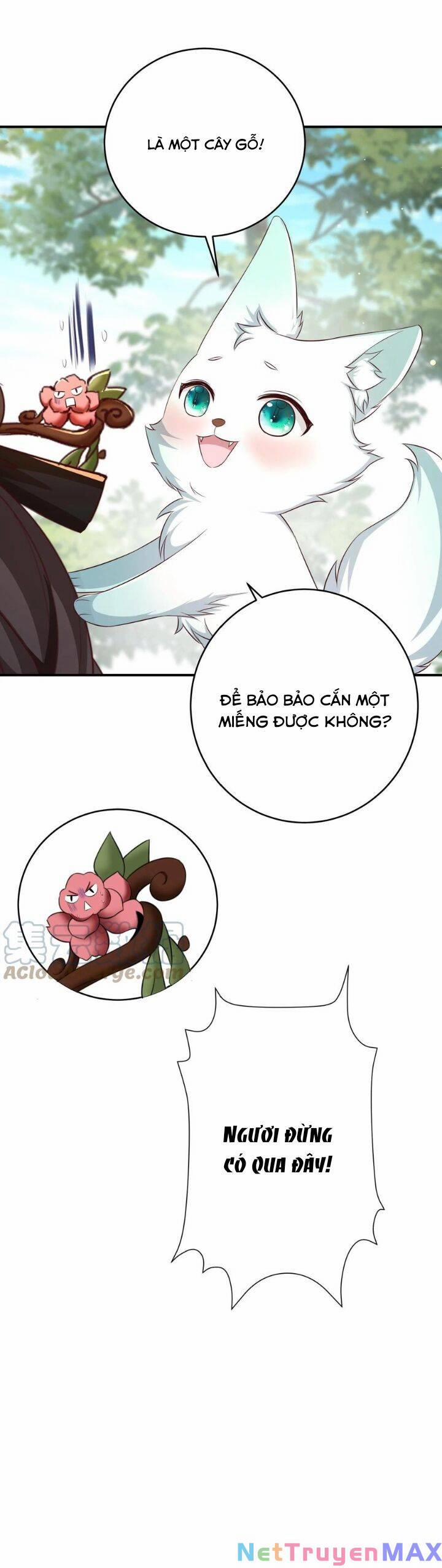 Chuyển Sinh: Thần Y Quận Chúa Khuynh Thiên Hạ 19 trang 4